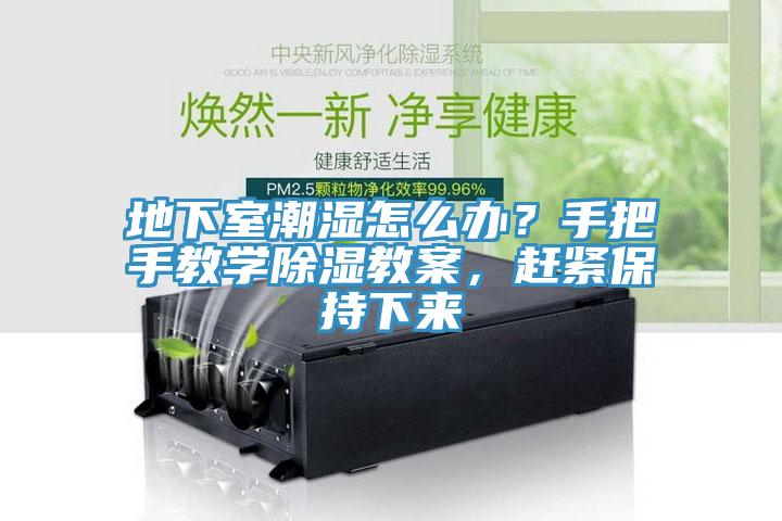 地下室潮濕怎么辦？手把手教學除濕教案，趕緊保持下來
