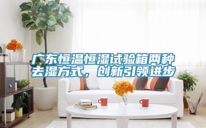 廣東恒溫恒濕試驗箱兩種去濕方式，創(chuàng)新引領(lǐng)進(jìn)步