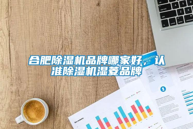 合肥除濕機品牌哪家好，認準除濕機濕菱品牌