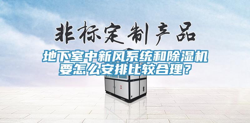 地下室中新風(fēng)系統(tǒng)和除濕機(jī)要怎么安排比較合理？