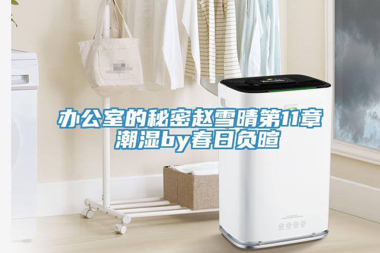 辦公室的秘密趙雪晴第11章 潮濕by春日負(fù)暄