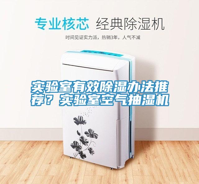 實驗室有效除濕辦法推薦？實驗室空氣抽濕機