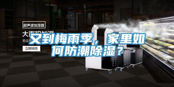 又到梅雨季，家里如何防潮除濕？