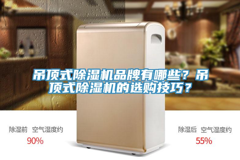 吊頂式除濕機品牌有哪些？吊頂式除濕機的選購技巧？