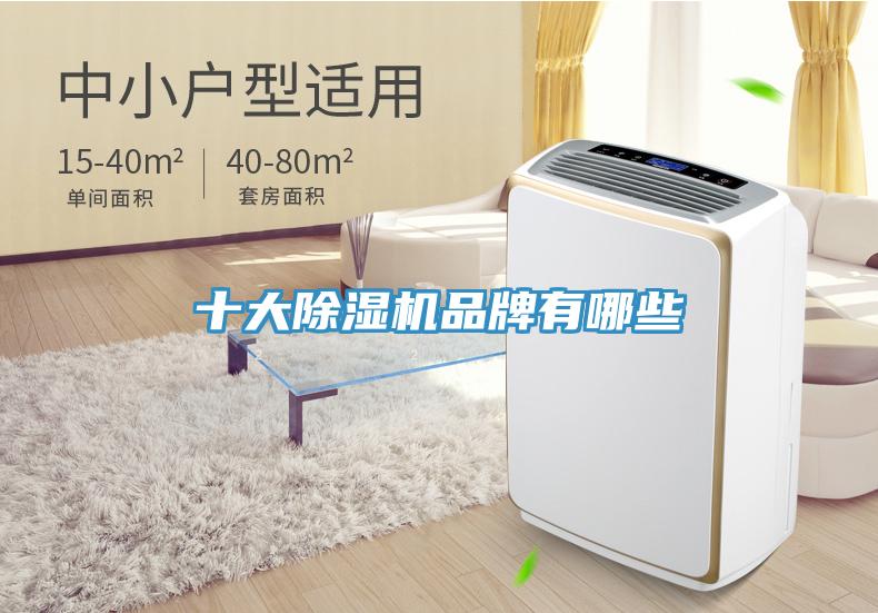 十大除濕機品牌有哪些