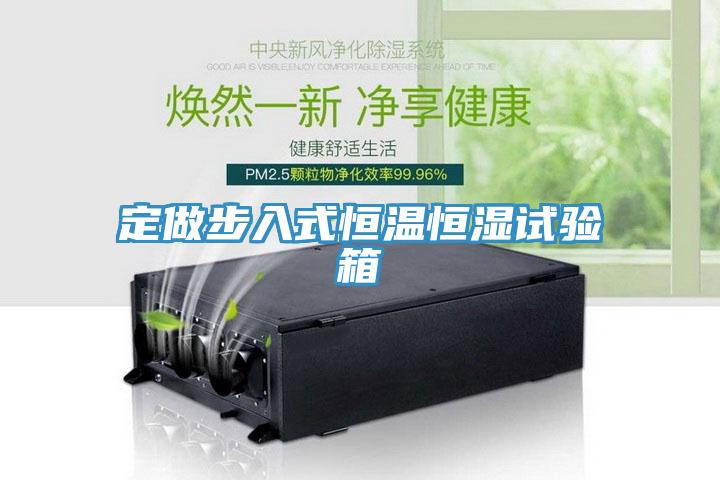 定做步入式恒溫恒濕試驗(yàn)箱