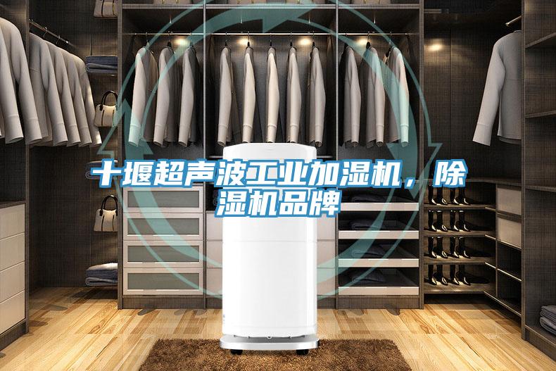 十堰超聲波工業(yè)加濕機(jī)，除濕機(jī)品牌