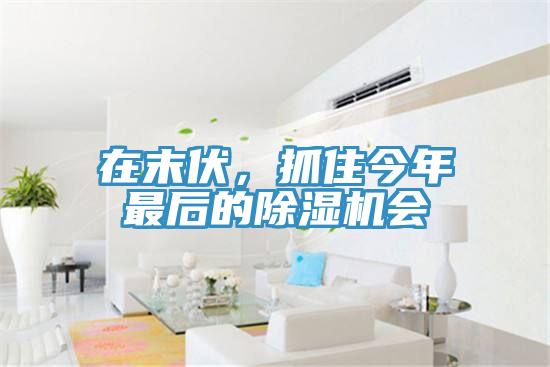 在末伏，抓住今年最后的除濕機(jī)會(huì)