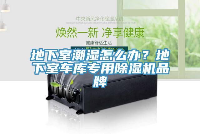 地下室潮濕怎么辦？地下室車庫專用除濕機品牌