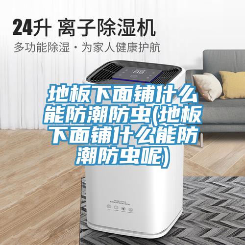地板下面鋪什么能防潮防蟲(地板下面鋪什么能防潮防蟲呢)