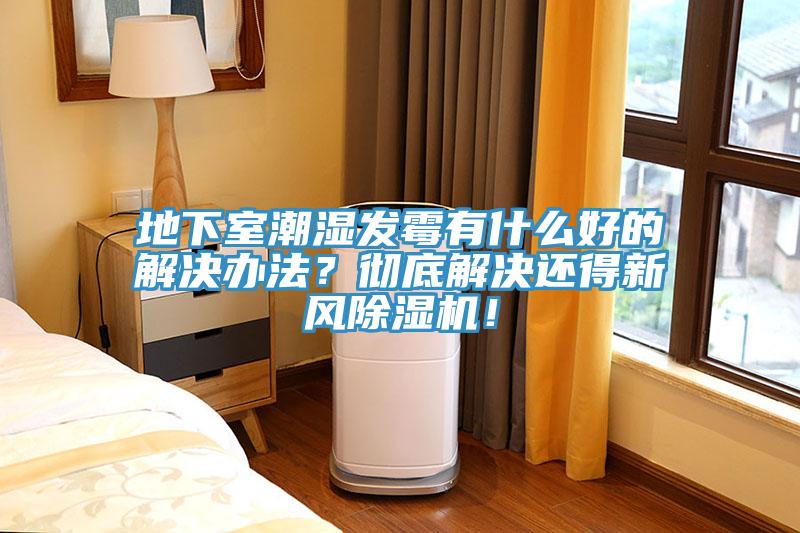 地下室潮濕發(fā)霉有什么好的解決辦法？徹底解決還得新風(fēng)除濕機(jī)！