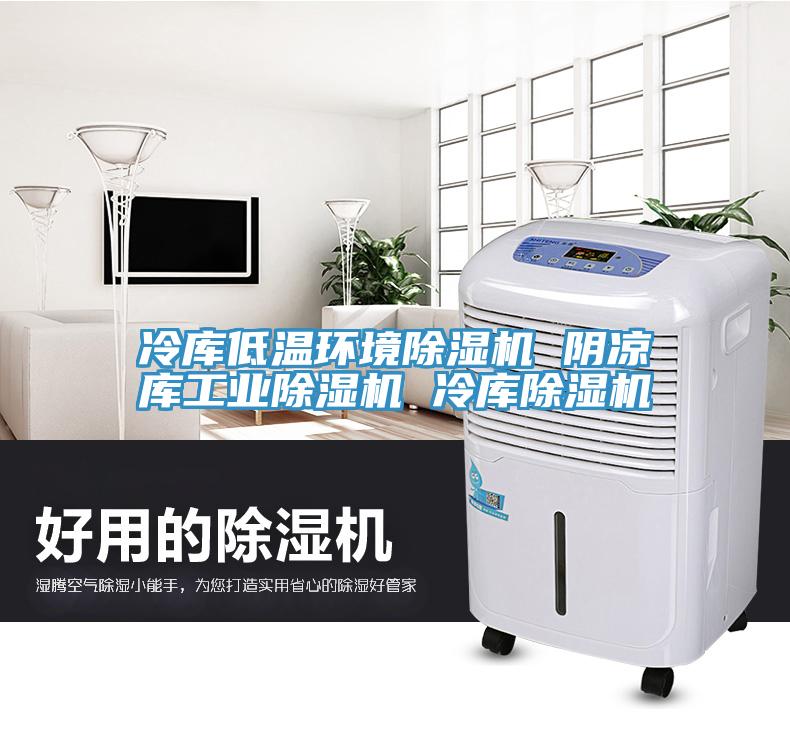 冷庫低溫環(huán)境除濕機(jī) 陰涼庫工業(yè)除濕機(jī) 冷庫除濕機(jī)