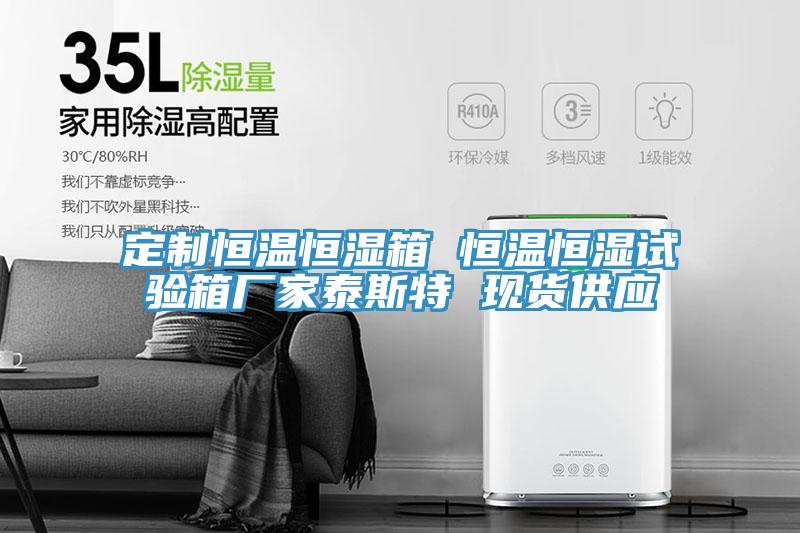 定制恒溫恒濕箱 恒溫恒濕試驗(yàn)箱廠家泰斯特 現(xiàn)貨供應(yīng)