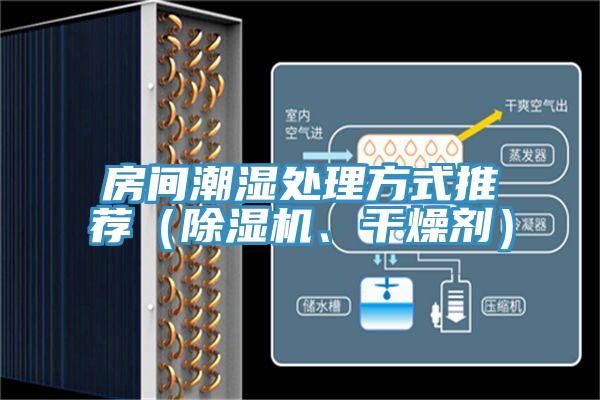 房間潮濕處理方式推薦（除濕機、干燥劑）