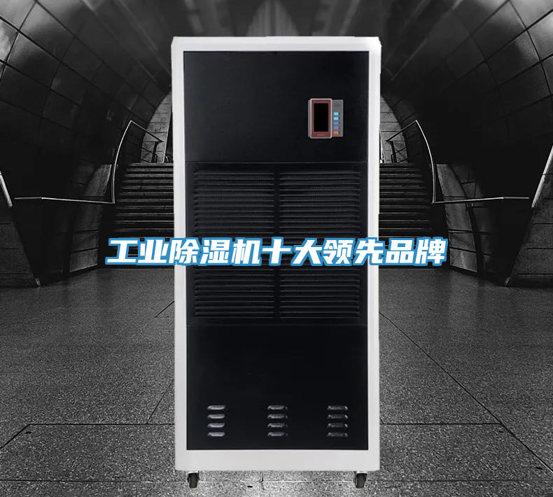 工業(yè)除濕機(jī)十大領(lǐng)先品牌