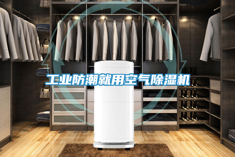 工業(yè)防潮就用空氣除濕機