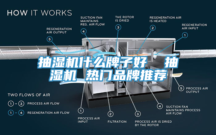 抽濕機什么牌子好  抽濕機 熱門品牌推薦