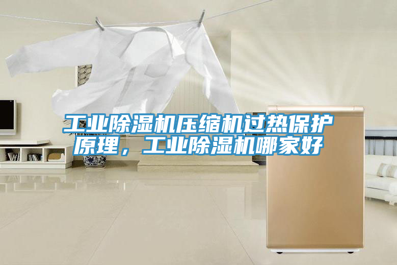 工業(yè)除濕機(jī)壓縮機(jī)過熱保護(hù)原理，工業(yè)除濕機(jī)哪家好