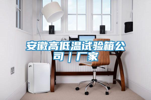 安徽高低溫試驗(yàn)箱公司｜廠家