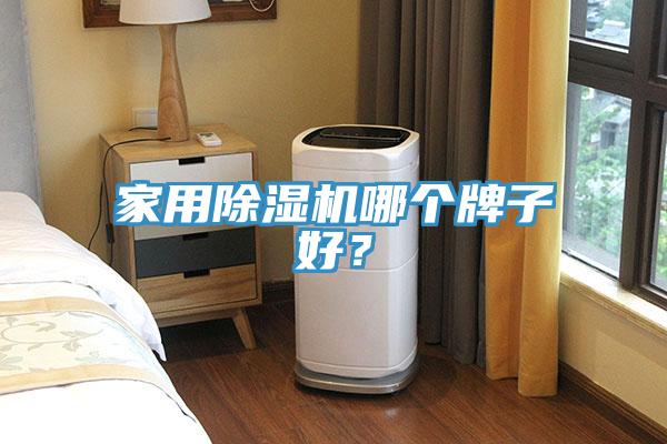 家用除濕機哪個牌子好？