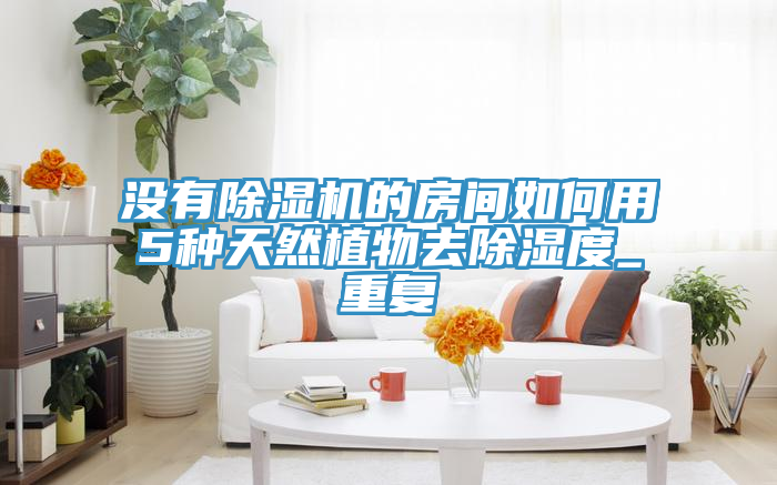 沒有除濕機的房間如何用5種天然植物去除濕度_重復