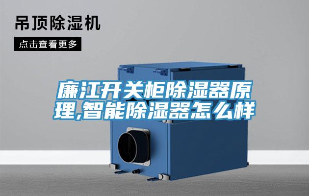 廉江開關(guān)柜除濕器原理,智能除濕器怎么樣