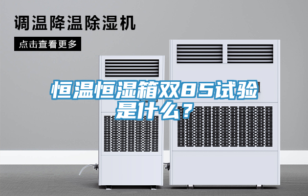 恒溫恒濕箱雙85試驗(yàn)是什么？