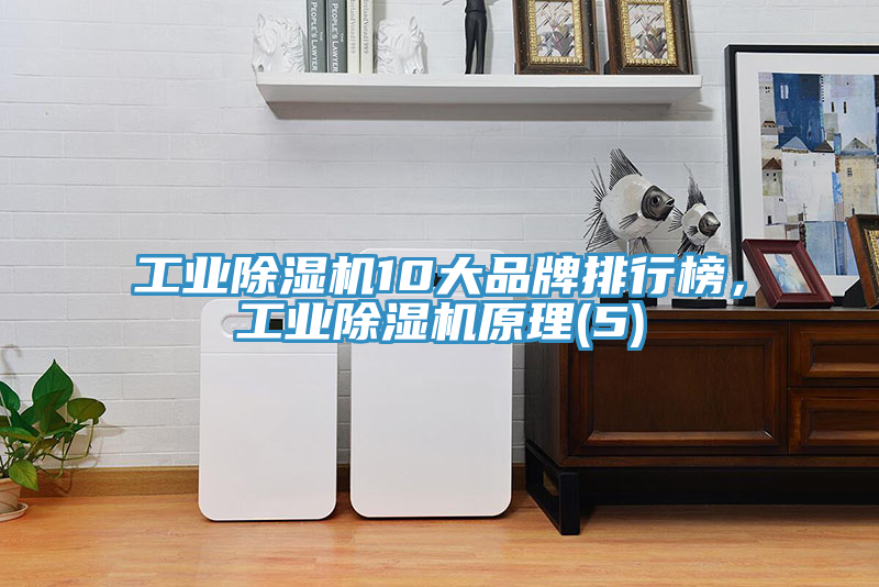 工業(yè)除濕機10大品牌排行榜，工業(yè)除濕機原理(5)