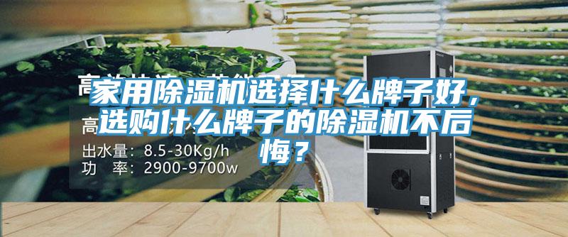 家用除濕機(jī)選擇什么牌子好，選購什么牌子的除濕機(jī)不后悔？