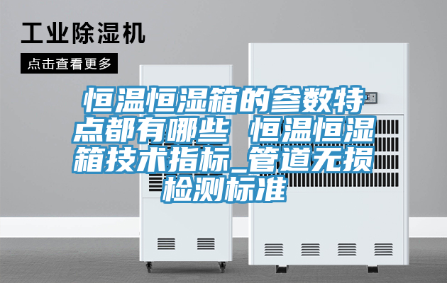 恒溫恒濕箱的參數(shù)特點(diǎn)都有哪些 恒溫恒濕箱技術(shù)指標(biāo)_管道無損檢測標(biāo)準(zhǔn)