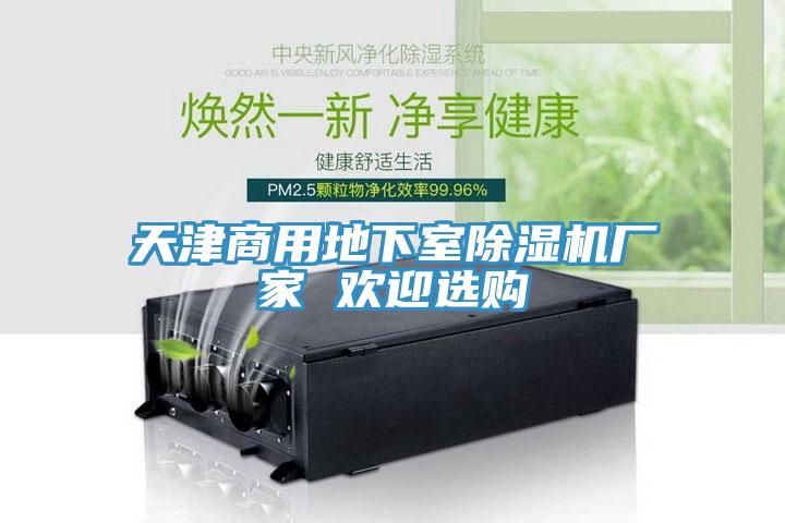 天津商用地下室除濕機(jī)廠家 歡迎選購