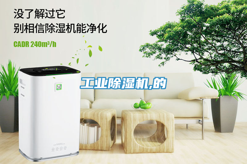 工業(yè)除濕機(jī),的