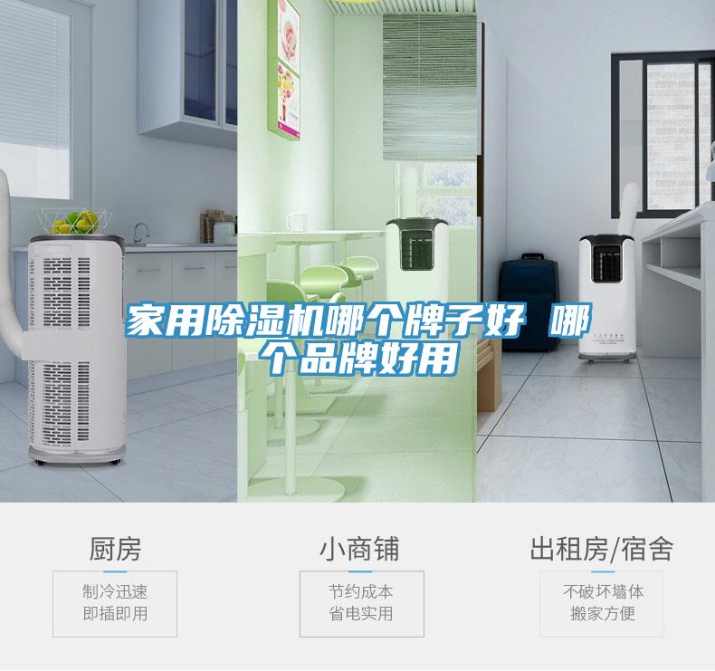 家用除濕機(jī)哪個(gè)牌子好 哪個(gè)品牌好用