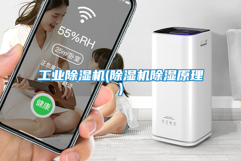 工業(yè)除濕機(jī)(除濕機(jī)除濕原理)
