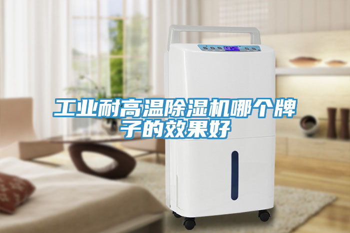工業(yè)耐高溫除濕機哪個牌子的效果好