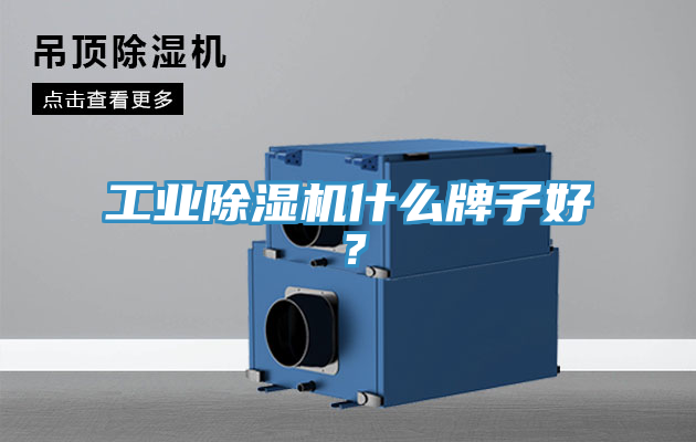 工業(yè)除濕機什么牌子好？