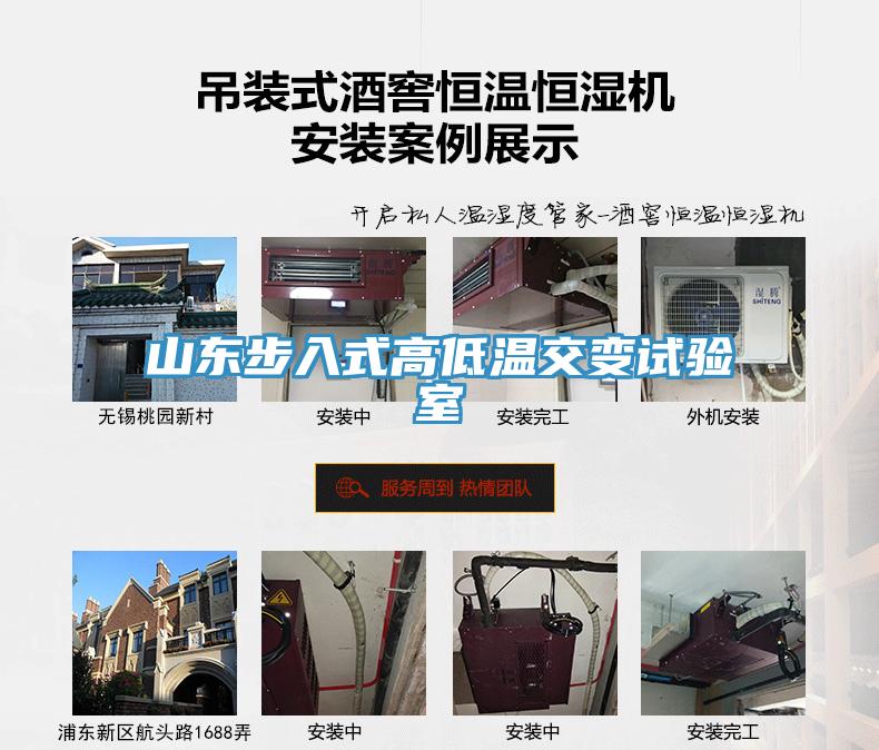 山東步入式高低溫交變?cè)囼?yàn)室