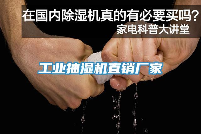 工業(yè)抽濕機直銷廠家