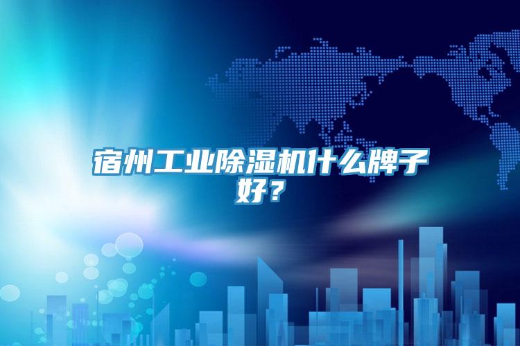 宿州工業(yè)除濕機(jī)什么牌子好？