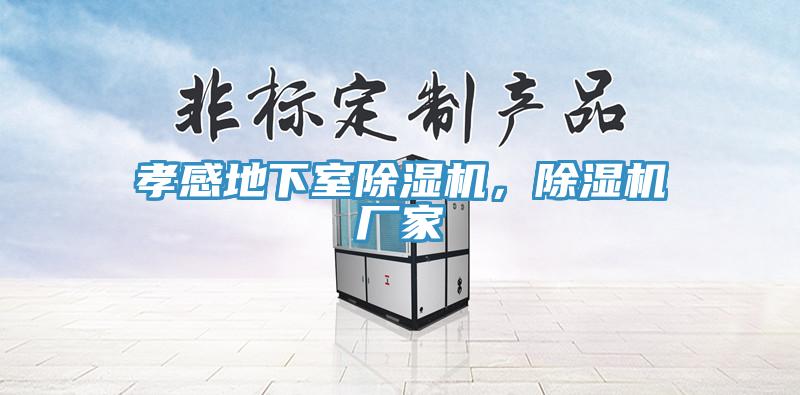 孝感地下室除濕機，除濕機廠家