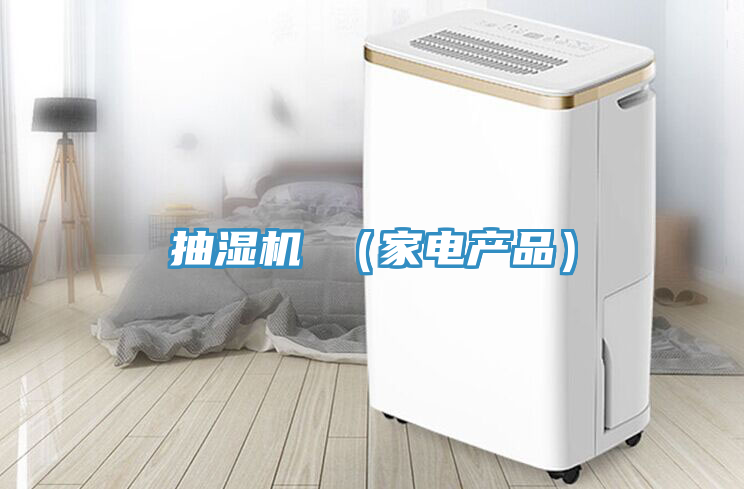 抽濕機 （家電產品）