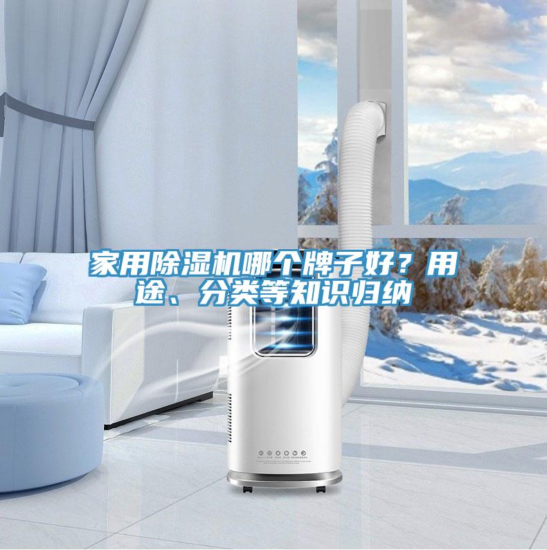 家用除濕機哪個牌子好？用途、分類等知識歸納