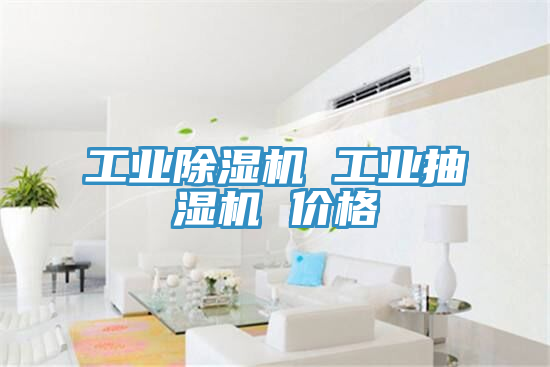 工業(yè)除濕機(jī) 工業(yè)抽濕機(jī) 價(jià)格