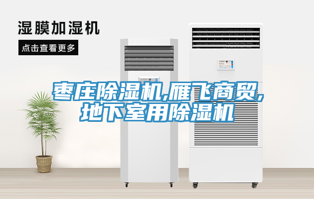 棗莊除濕機,雁飛商貿(mào),地下室用除濕機