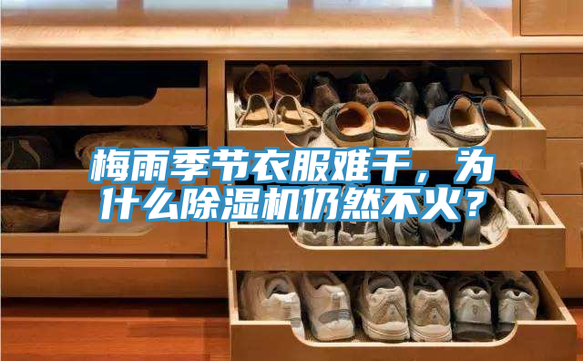 梅雨季節(jié)衣服難干，為什么除濕機仍然不火？