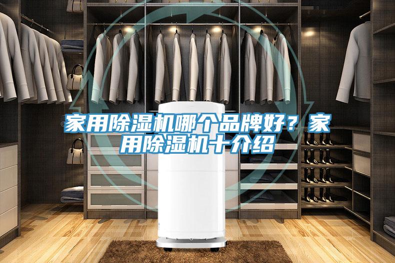 家用除濕機(jī)哪個(gè)品牌好？家用除濕機(jī)十介紹