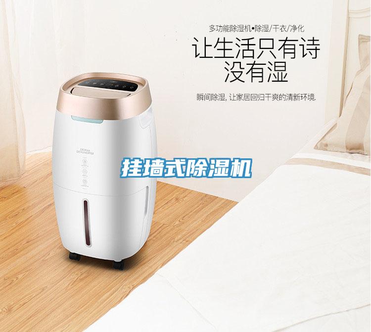 掛墻式除濕機(jī)