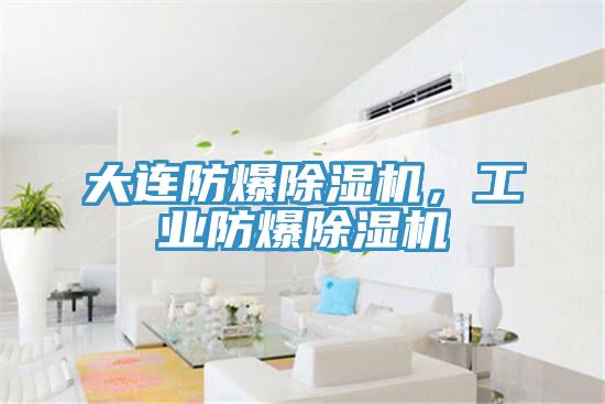 大連防爆除濕機(jī)，工業(yè)防爆除濕機(jī)
