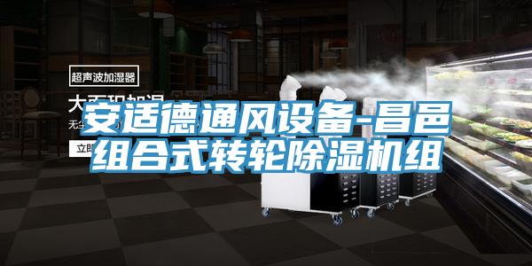 安適德通風(fēng)設(shè)備-昌邑組合式轉(zhuǎn)輪除濕機(jī)組