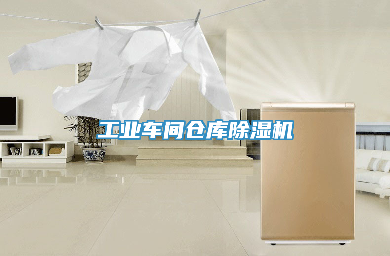 工業(yè)車間倉庫除濕機